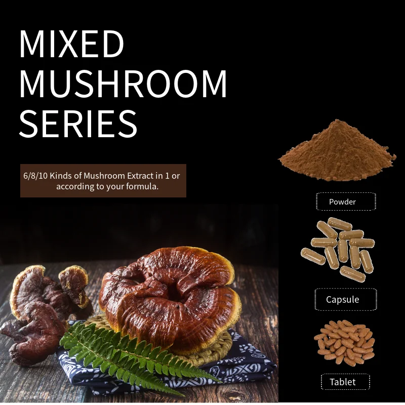 Hot Selling Red Reishi Mushroom Extract Powder