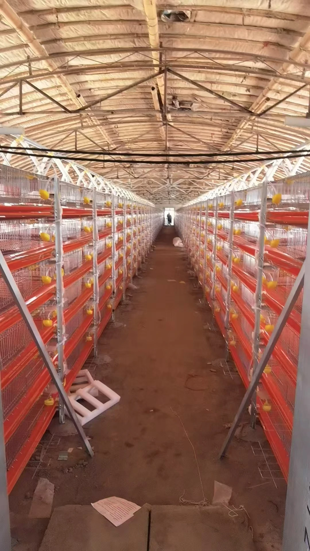 new design automatic feeding quail layer cage quail farm equipment for sale