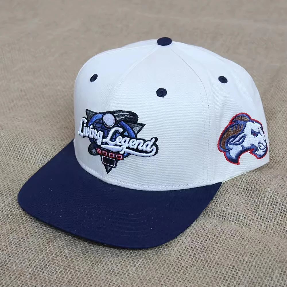 Wholesale caps cotton 6 panel snapback cap, custom embroidery logo snapback hat with logo