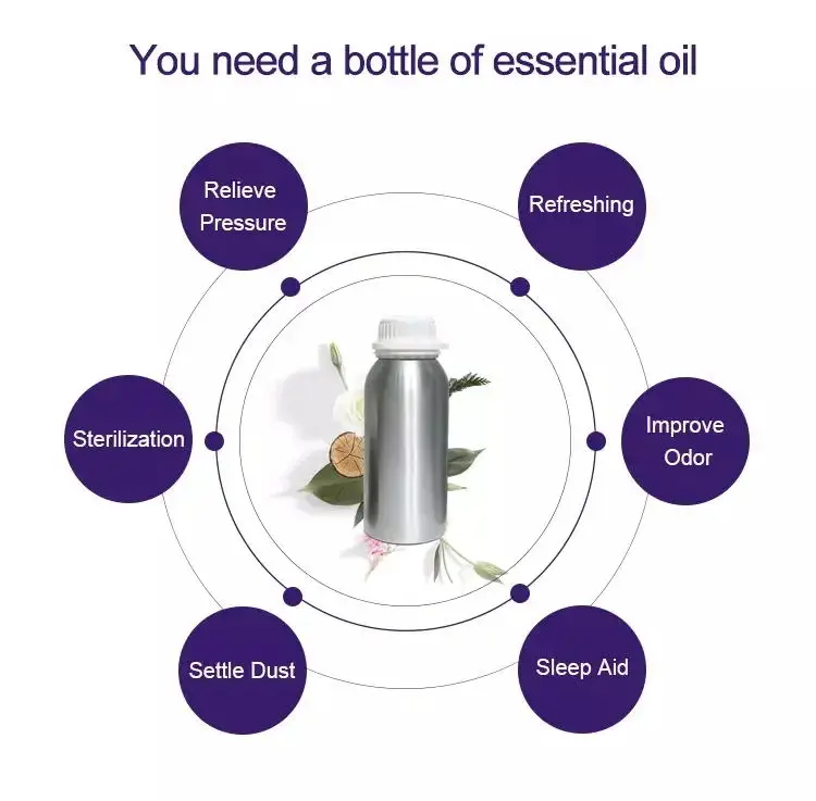 Long Lasting Waterless Wholesale Diffuser Fragrance Oil Bulk for Mist Making