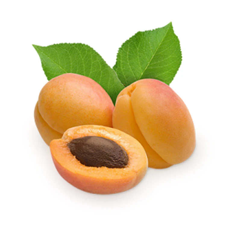 
Factory Wholesale Yellow Uzbekistan Fresh Apricots Fruit 