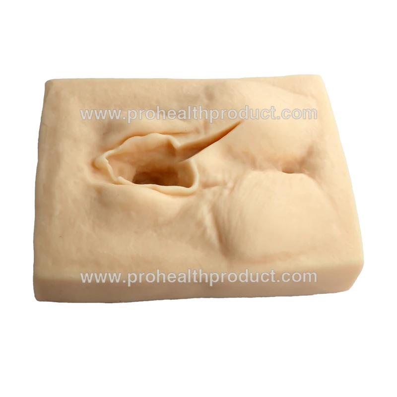 Female Vulva Incision Suture Model Episiotomy & Perineal Incision Suturing Practice Pad