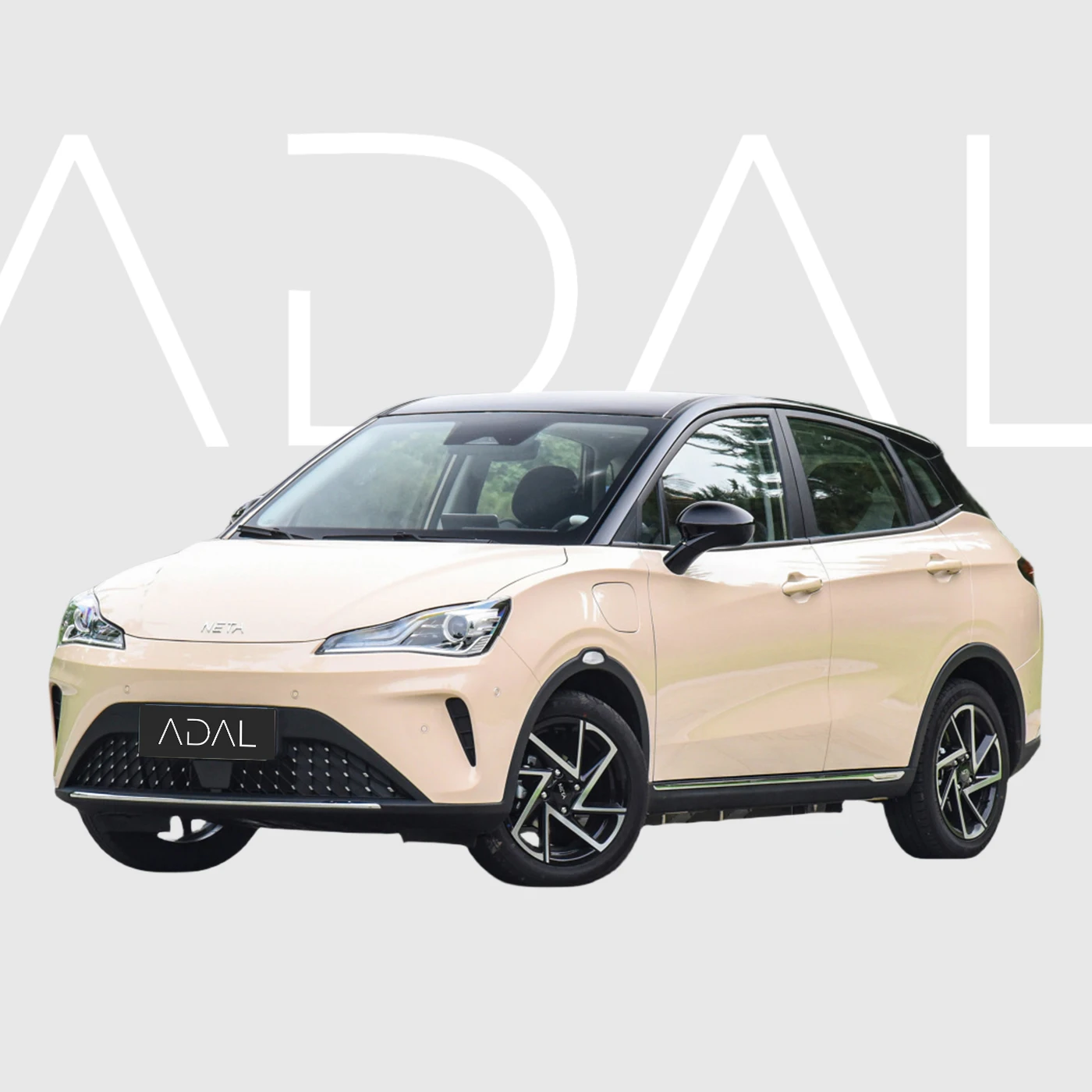 Hot Sale NETA AYA NEZHA 318 Lite High Speed Electric SUV Neta Aya New Energy Automobile for Adults Chinese Electric Car