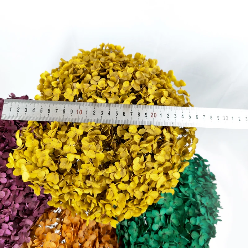 Anna Hydrangeas Wedding Floral Home Decor Large Size Preserved Flowers Real Touch Autumn Colors Eternal Hortensia Hydrangea