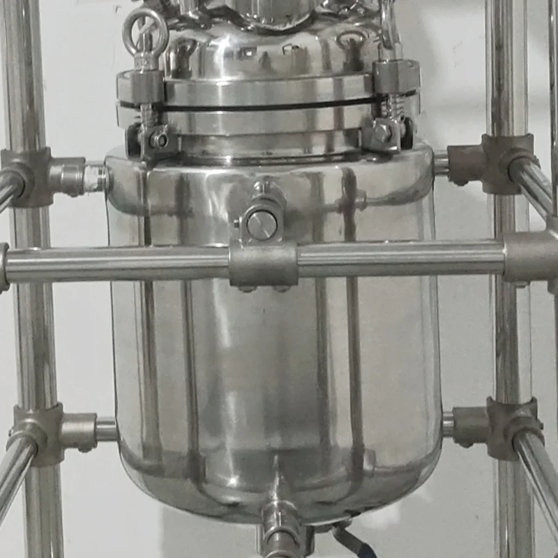 Lab 304 or 316 20L double wall jacketed stainless steel Pilot Plant High-Pressure Reactor