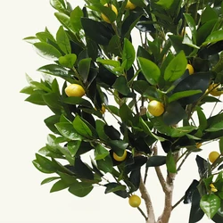 Ornamental Bonsai Plastic Home Decorative Fruit Plant Artificial Lemon Tree bonsai