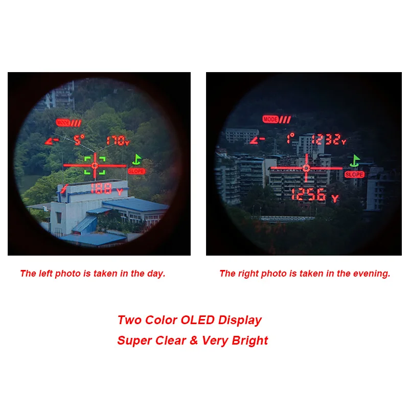 2 Color OLED 1007H-6