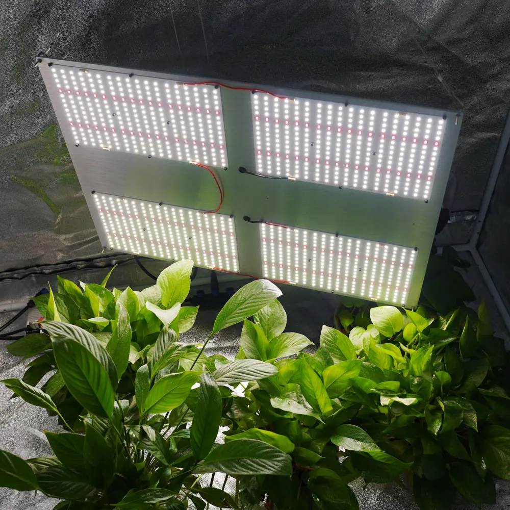 
Pre-assembled Maaadro 480w V3 QB Light With LM301H and Epistar 660nm Red Meijiu LED Grow Light For Indoor 