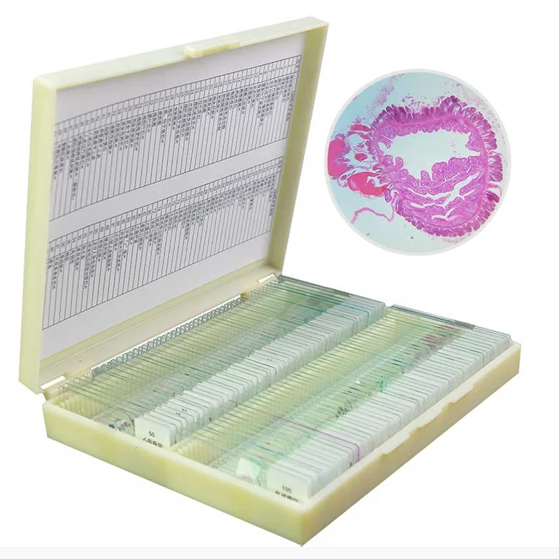 132 Kinds Human Pathology Microscope Prepared Slides Specimen For Hospital Lab Reseach