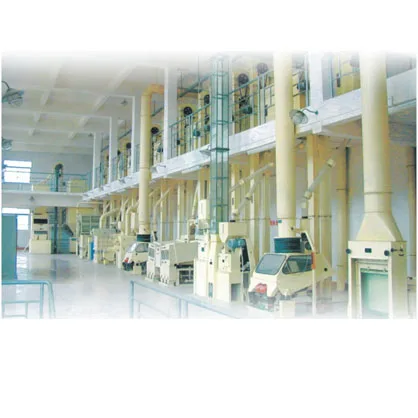 20t-30t/40-50t/150 тонн в день, полностью рисовая мельница, автоматическая рисовая мельница/полностью рисовая мельница