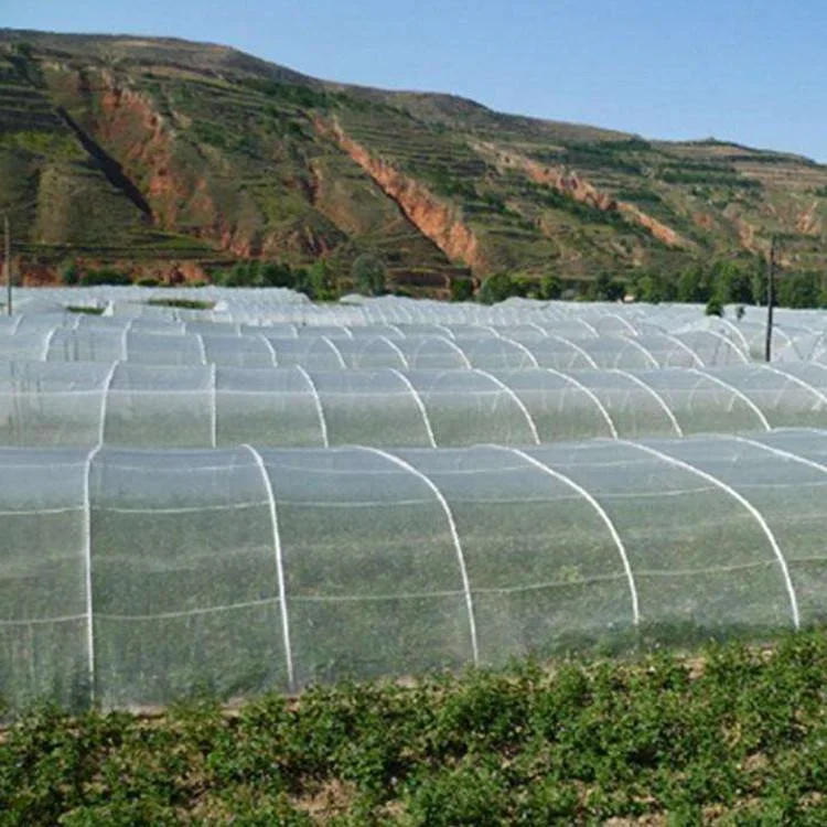 Best Selling 2024 New HDPE High Quality Anti - aging Greenhouse Anti - Bird Net for Agriculture