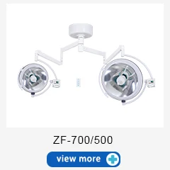 ZF-700500.jpg