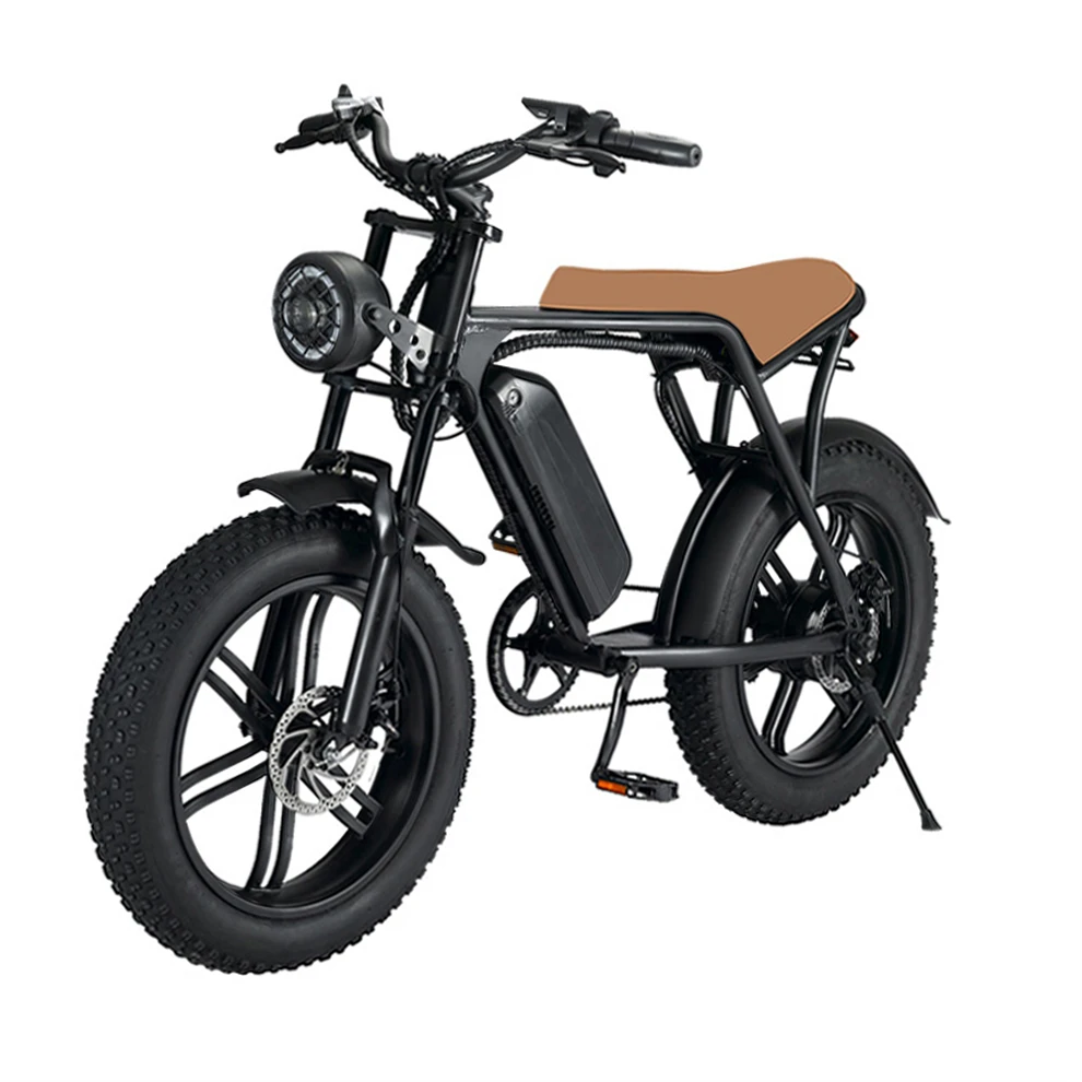 20 Inch Wheel Light Electric Passenger Bicycle Aluminium Frame Nzita H1 Folding Electric Bicycle