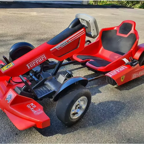 Newest design Kids Adults go karts Outdoor Indoor Rides electric go kart Karting Car for Sale