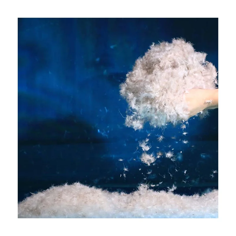 
China Wholesale Low Price Washed Bulk Grey Goose Down 80% for Pillow Duvet 