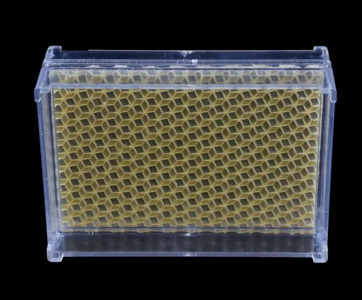 High Quality Wholesale Food Grade 250G / 500G Plastic Transparent Comb Honey Box Honey Cassette Bee Container