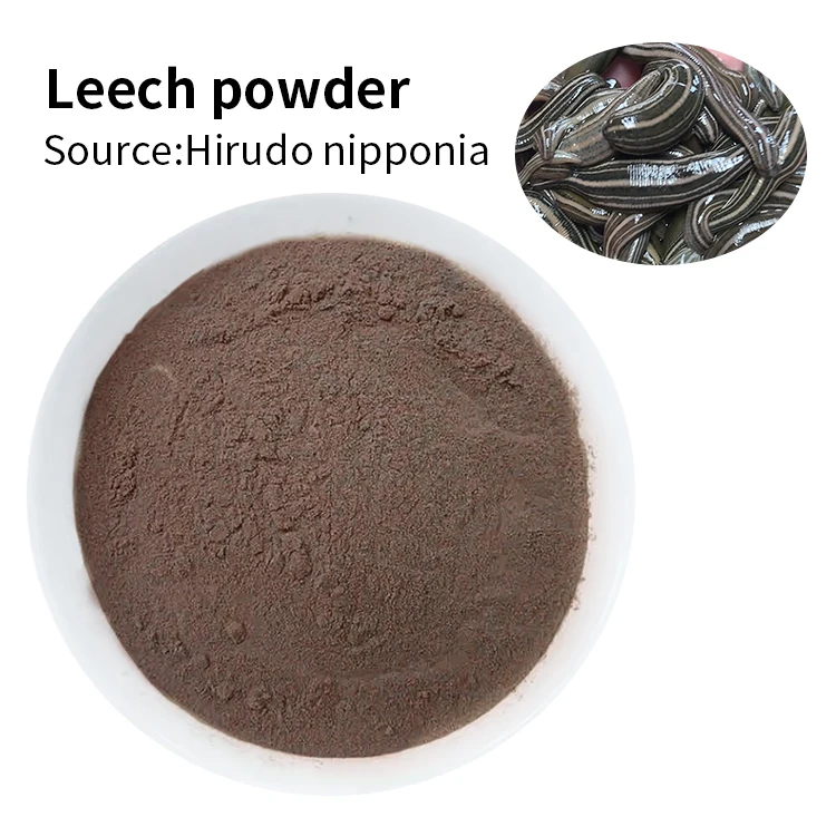 High-Purity Freeze-Dried Hirudo Nipponica Leech Powder Natural Hirudin Extract With 500 ATU Available for Wholesale