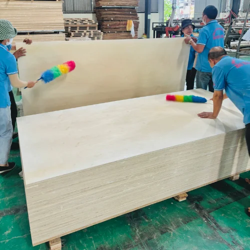 Poplar Plywood Hot Selling Reusable Construction-Grade Reused 6-8 Times Thickness From Vietnam Manufacturer