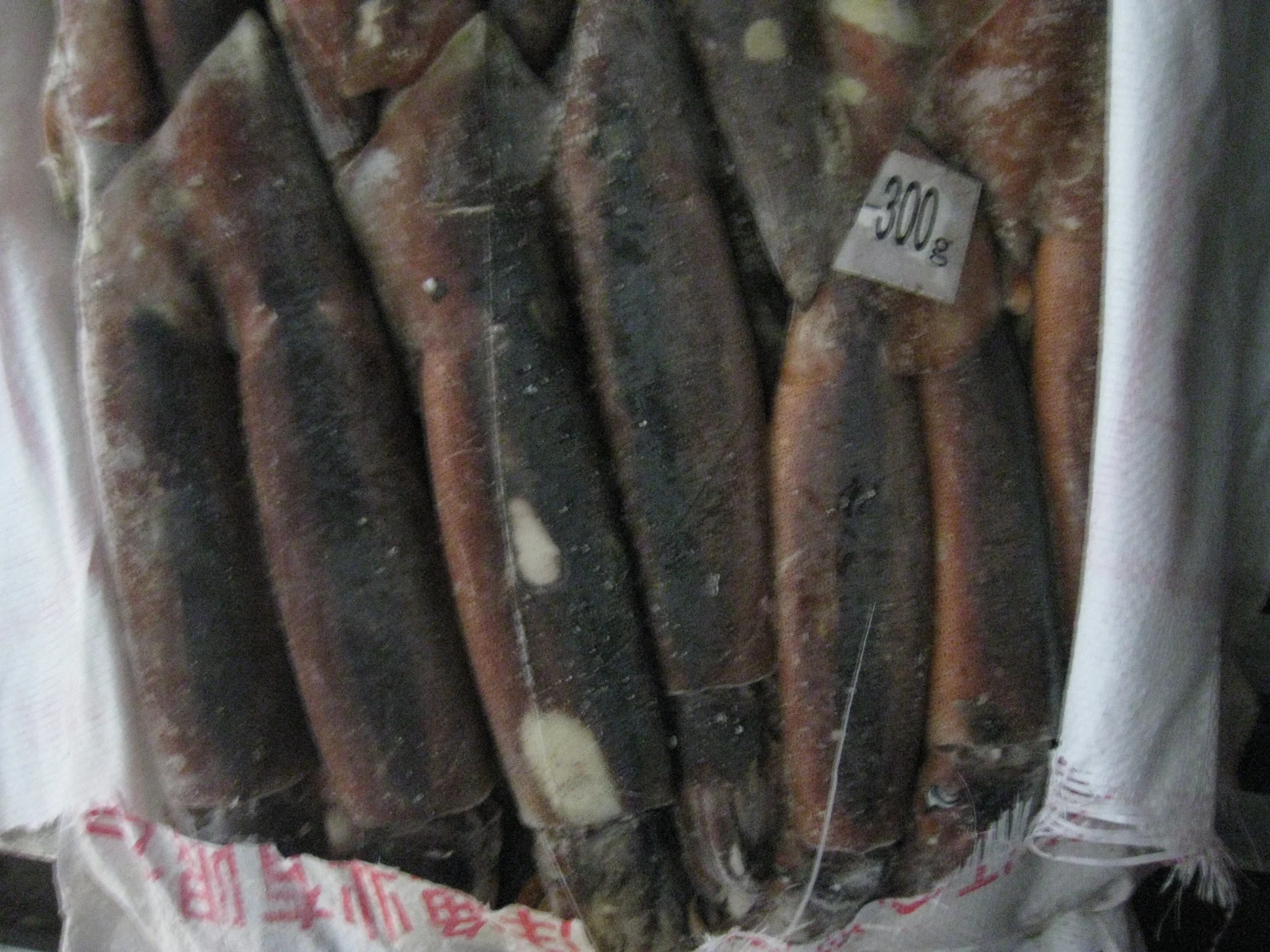 Seafood Supplier  Frozen Illex Argentina Squid 200-300g