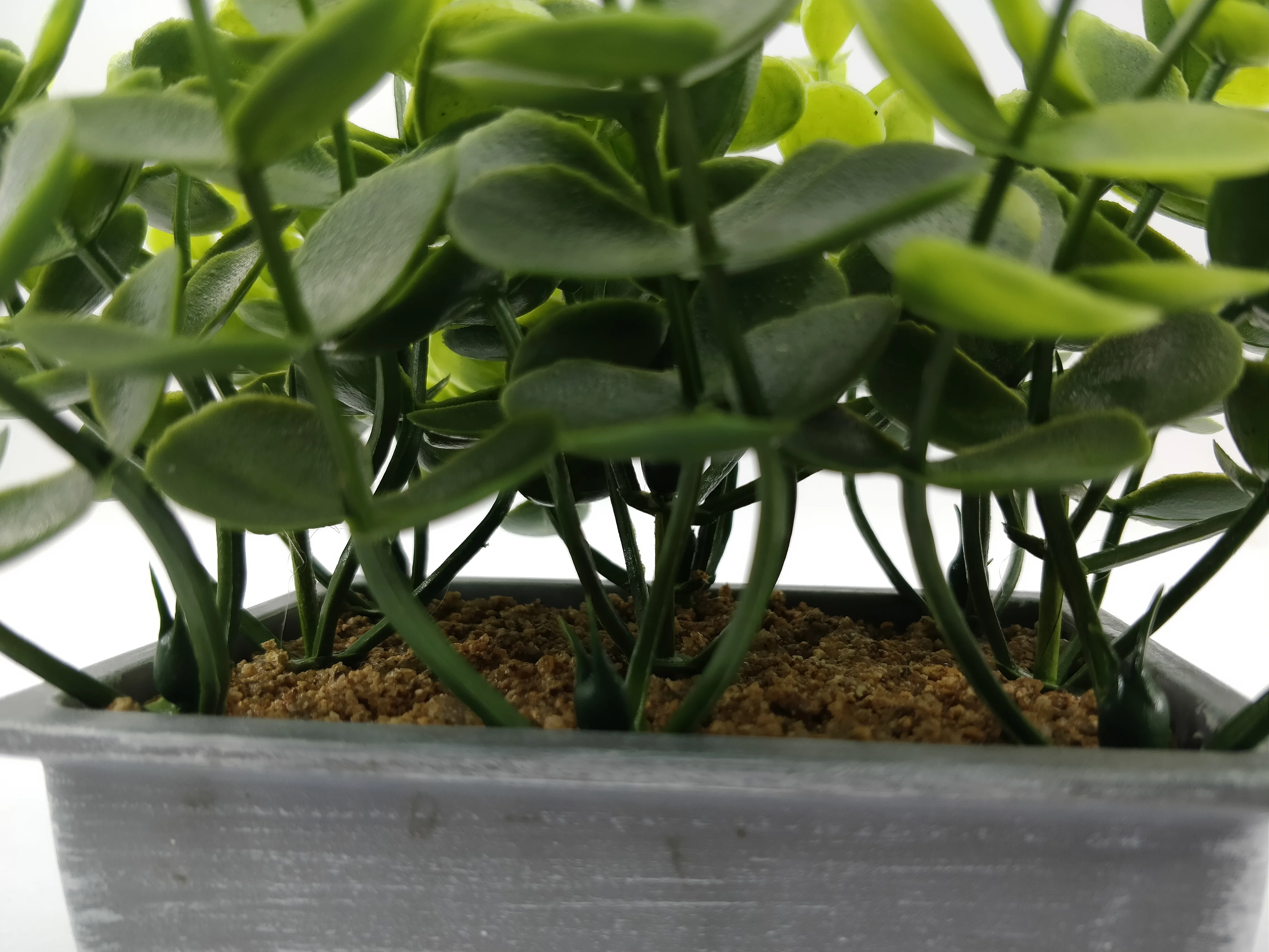 Artificial shrub plant filling indoor and outdoor family artificial money leaf greenery