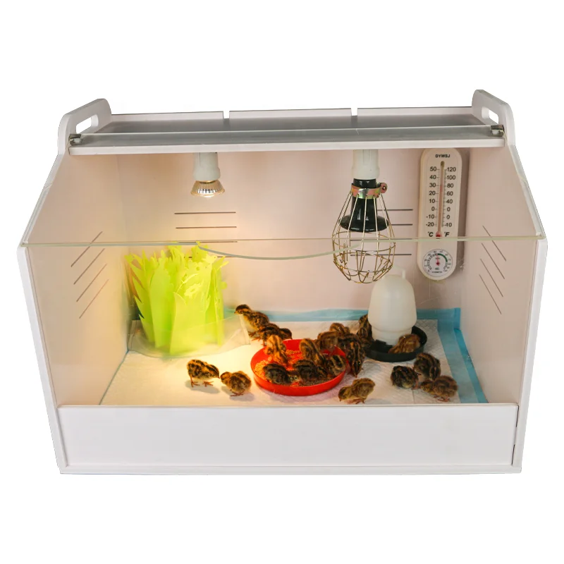 Chicken Incubator Brooder Medium Size Quail Bird Incubator Farm Crawl Pet Brooder