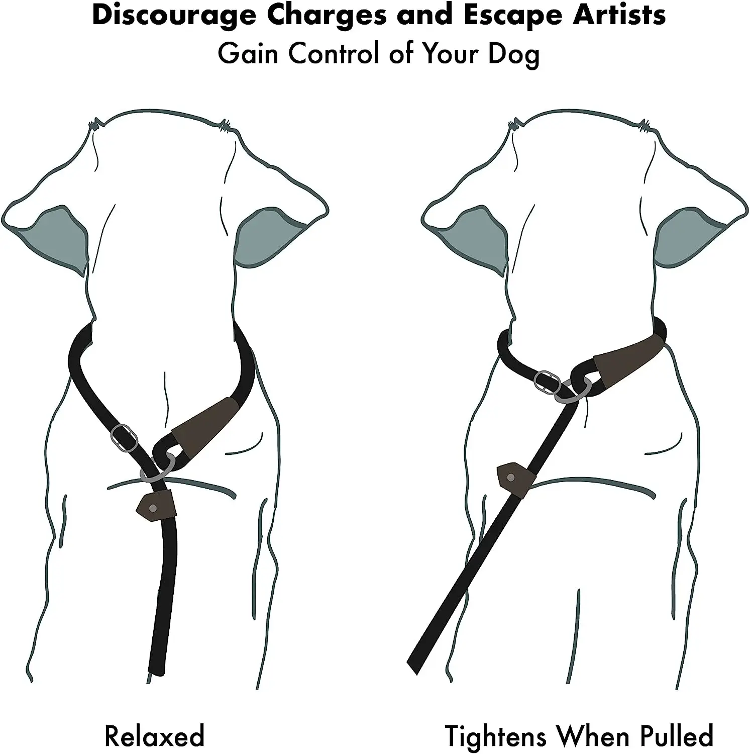Hot Sale Multi-head Detachable retractable dog leash with Highly Reflective Polyester yarn