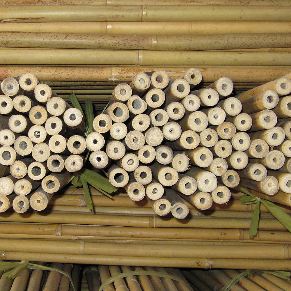 Factory wholesale price eco friendly custom size 2 inches bamboo cane for agriculture