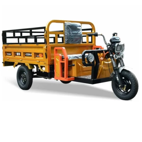 Electric Tricycle with Automatic Hydraulic Lifting System Powerful 1200W Big Tire Electric Cargo trike