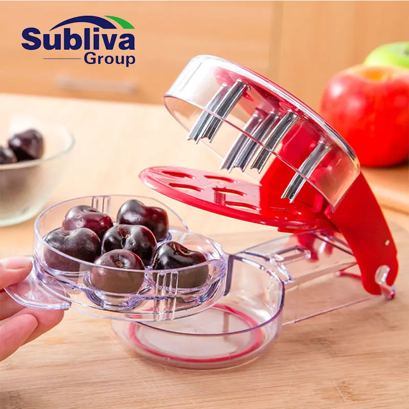 6 Head Olive & Cherry Pitter