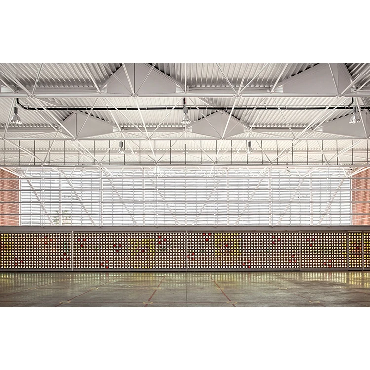 Guangdong YGY modern high quality prefabricated strong steel structure building stadium and sports field