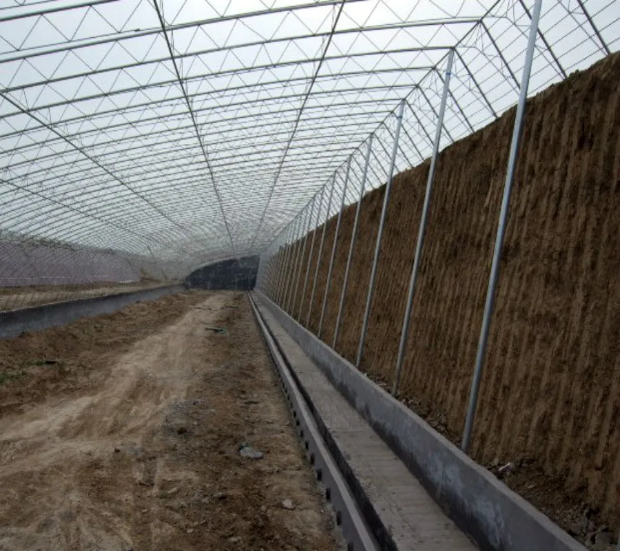 Winter Warm Soil/Brick Back Wall for Planting Tomato/Cucumber without Heating in Cold Winter