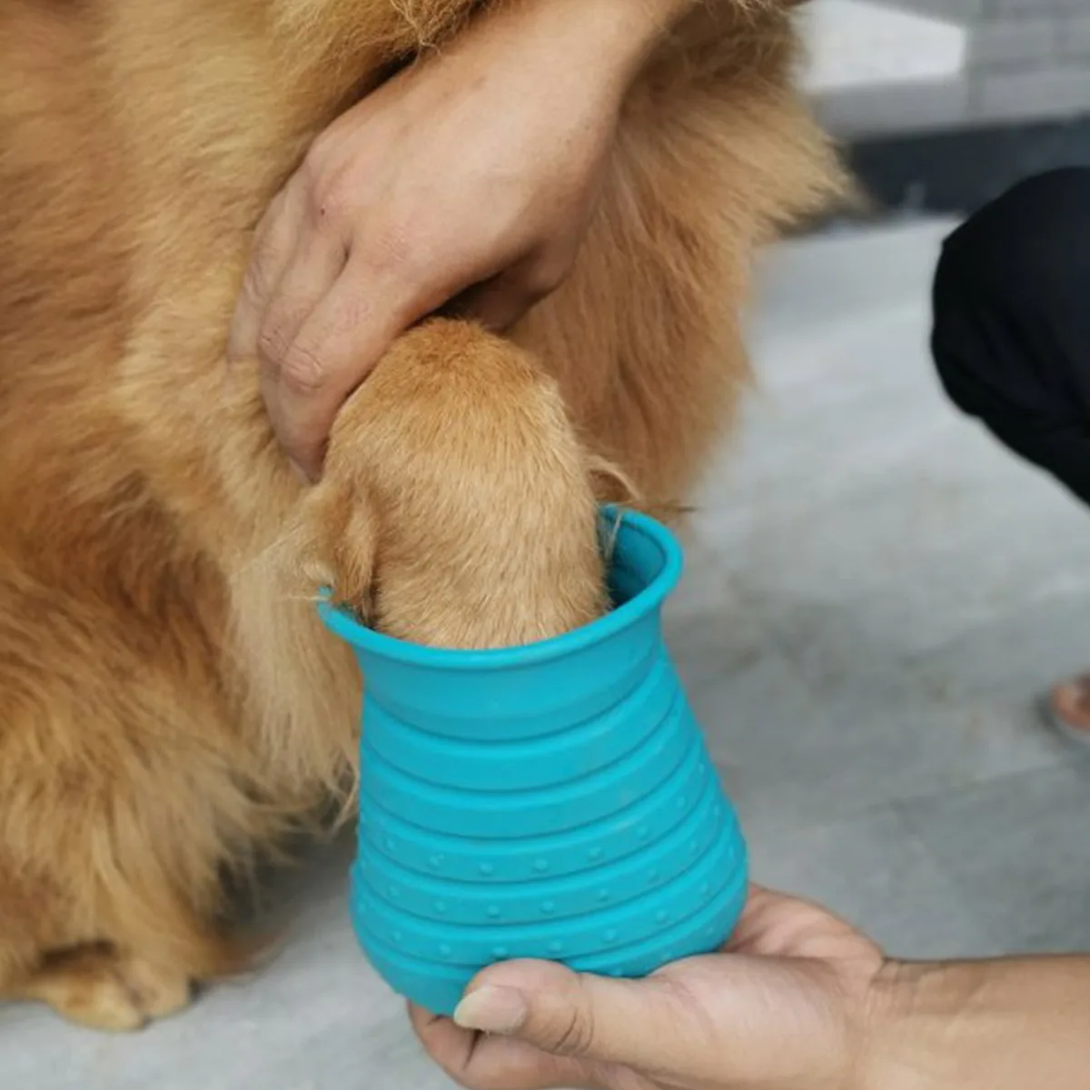 Multi-function Soft Silicone  Pet Paw Massage Brush Dog Cat Foot Cleaner Washing Cup