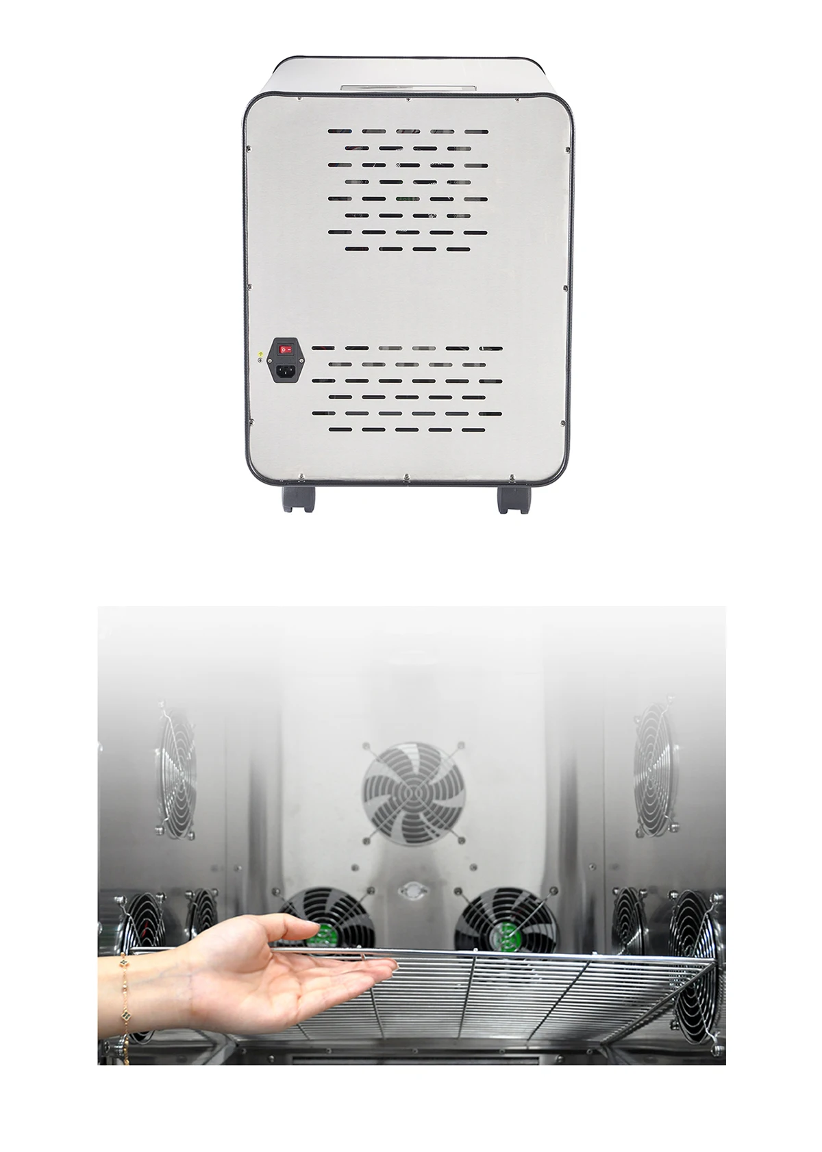 Dogs and cats dryer machine drying box Hot blowing equipment