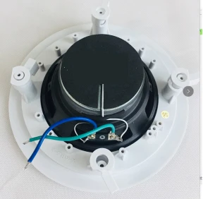 6 inch surround sound speaker office dsppa focal 60W watt smart led ceiling speaker