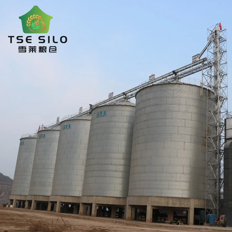 Soybean wheat paddy flat bottom  grain silo for farms