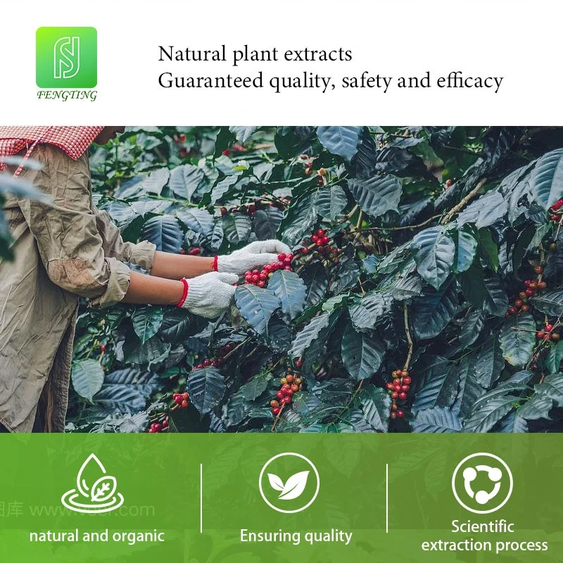 Highly Effective Refreshing Mild Formula Stress Relief Mellow Coffee Essential Oil