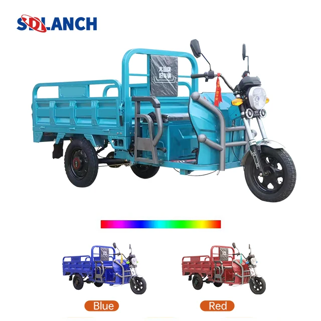 China Electric Adult Tricycle Electric Three Wheeler Cargo 1000w Eec Electric Trike Scooter Cargo Bike