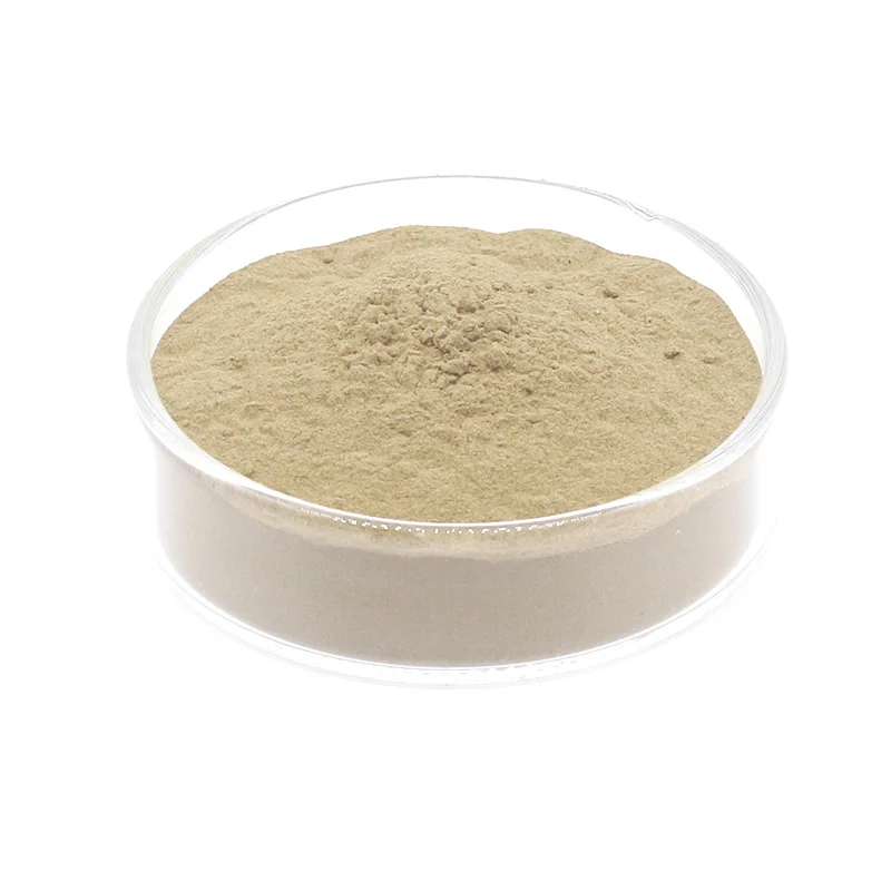 Профессиональная поставка Bacillus