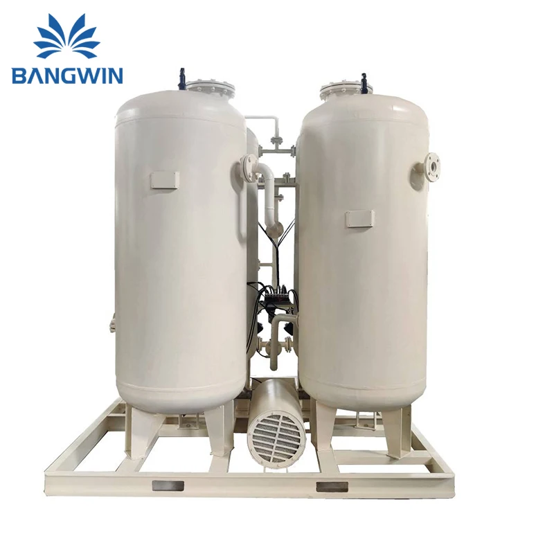 BW Medical Oxygen Plant Price Gas Generating Plant Industry