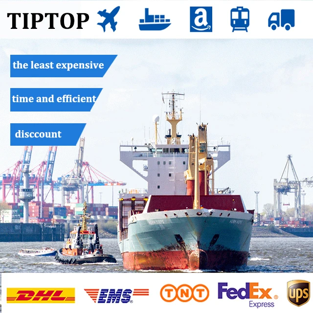 Cheapest Sea Shipping Agent From China To Canada / USA / UK / UAE / Spain Cargo Shipping Service