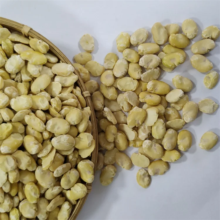 
Factory hot sell dried broad bean split peeled fava beans new crop 