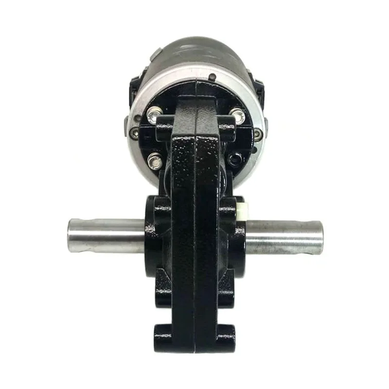 350W 200W Dc Gear Motor 200Rpm 12V 24V Double Shaft 300W Dc Worm Gearbox Motor