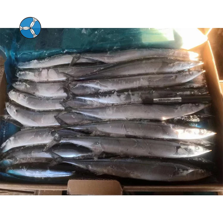 New Goods Frozen Pacific Saury SANFENG Wholesale Whole Round Pacific Saury Fish For Export