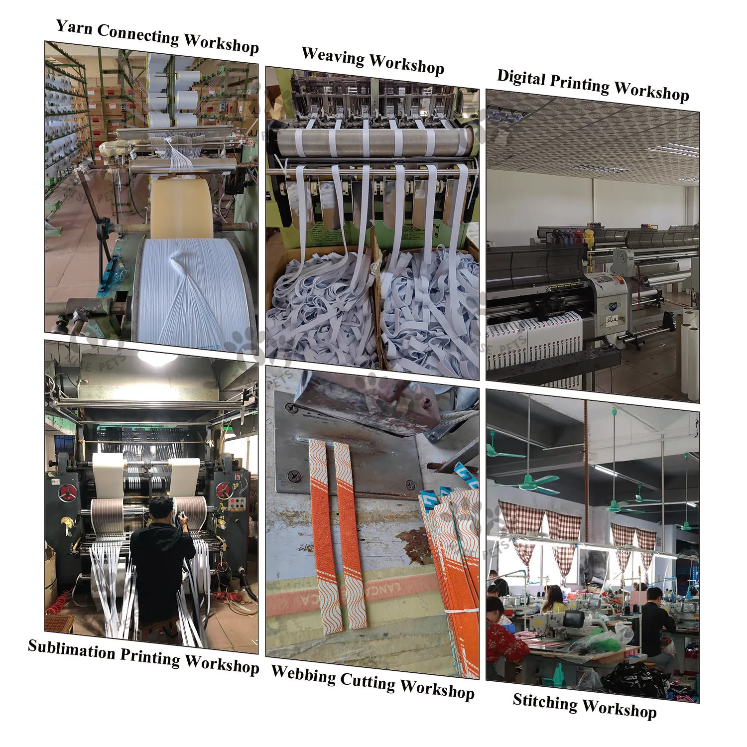 High Quality Pet Harnesses Collar Lead Set Custom Heat Transfer Printed Dog Cat Harness And Leash Set For Walking Training