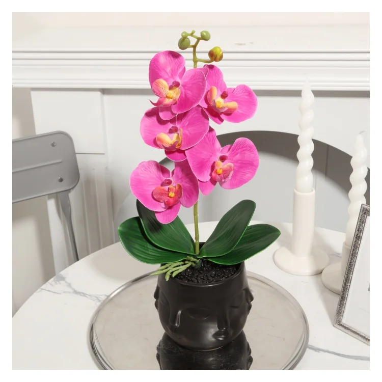 YX230316-5P Wholesale Real Touch Artificial Five Headed Phalaenopsis with Leaves Decorations For Home
