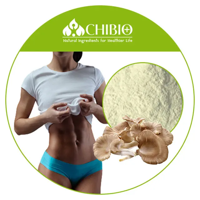 High Density non-allergenic Aspergillus Niger Chitosan Powder for long-term stable weight
