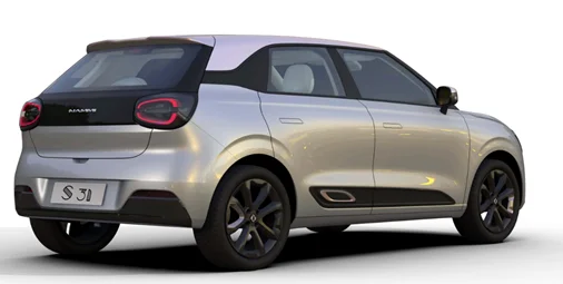 Famous Brand Factory Direct Pure Electric Popular Passenger Car