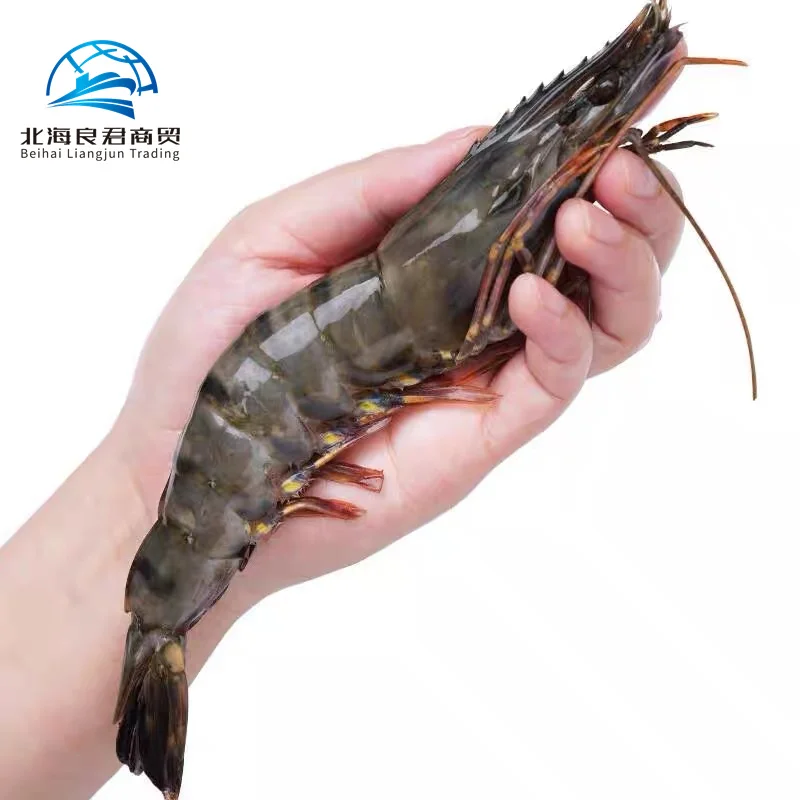 Direct Factory High Quality Wholesale importers White Shrimp/Fresh black tiger shrimps