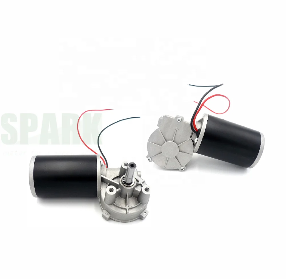 63mm DC Motor 12V 24V with Worm Gear Reducer hollow shaft high torque low noise for sliding door