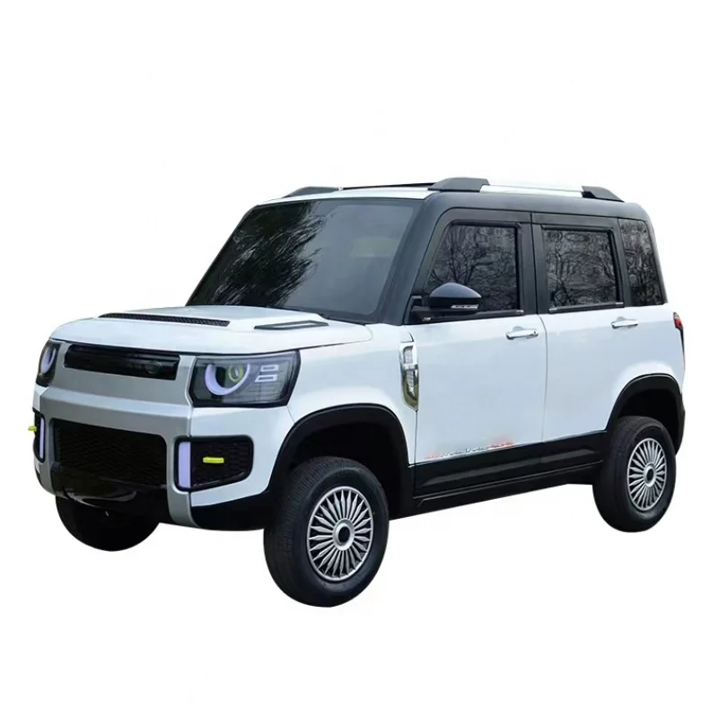 2023 China SUV new electric car and used EV car chang li electric car for sale